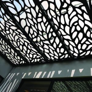 Ceiling Panels & Drop Feature Panels